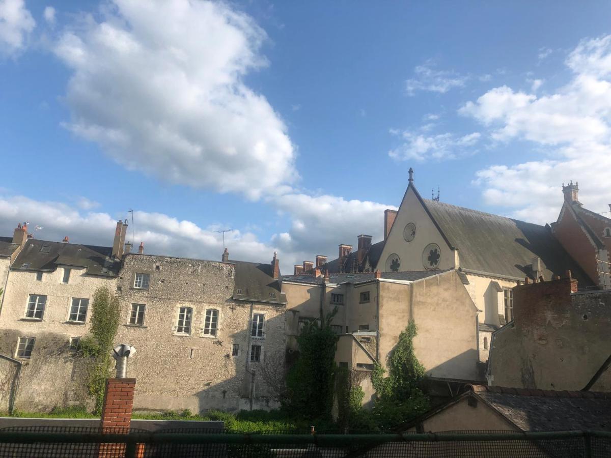 Cote Chateau - Grand Appartement Au Coeur De Blois Exterior foto
